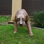 Dsc00295